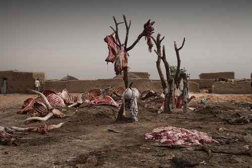 Niger Food Crisis