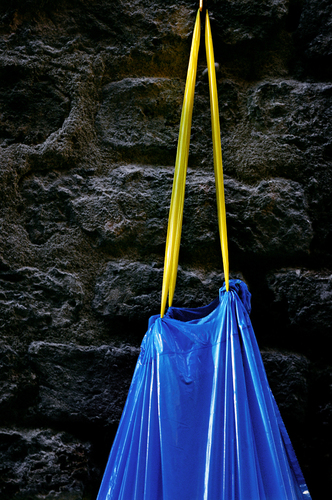 Plastic Bag