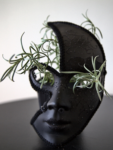 Masked green