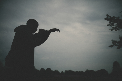 Shadow Boxer