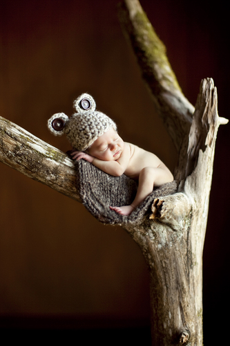 Baby Cub