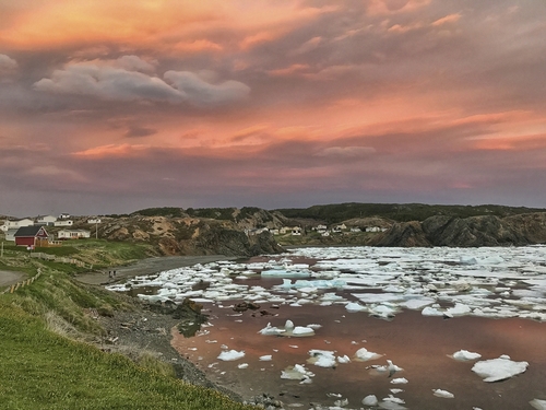 Twillingate Icebergs Alley