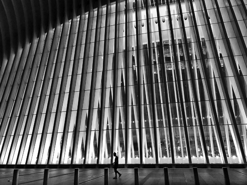 New York Revitalized