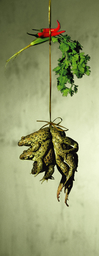 The Culture of Hong Kong - Frogs