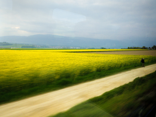 Lookin' from a train window