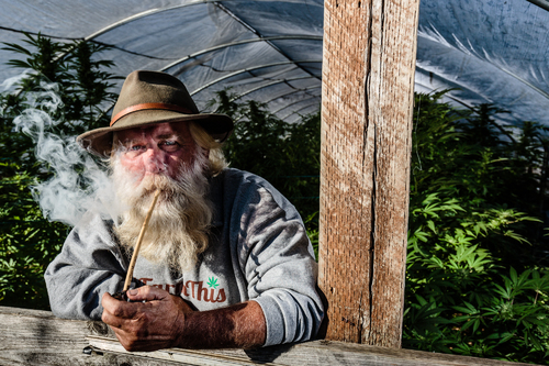 Farmer Tom in His Greenhouse