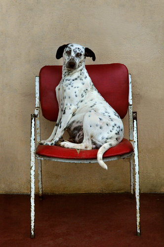 waiting room