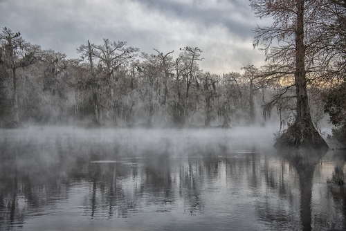 Florida on a misty morning