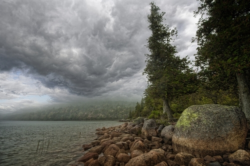 Arcadia N.P