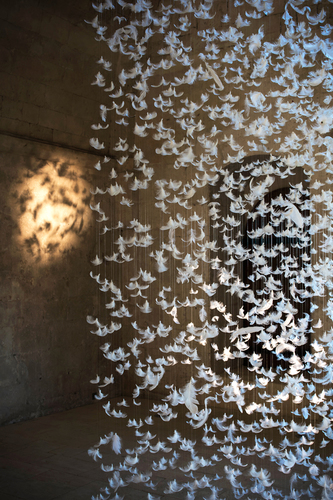 Feathers 2