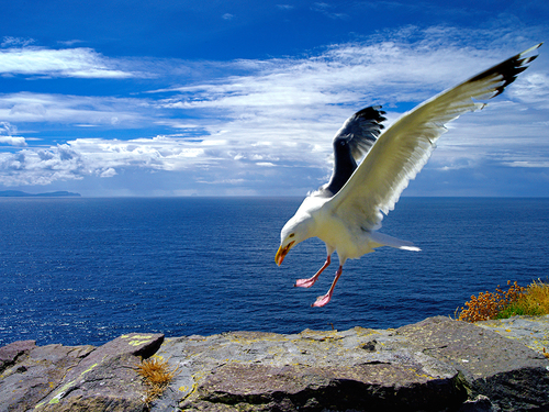 Landing