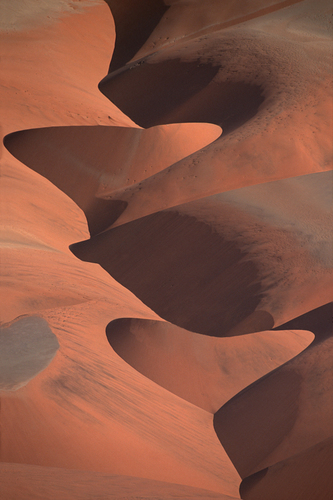 Namib heart