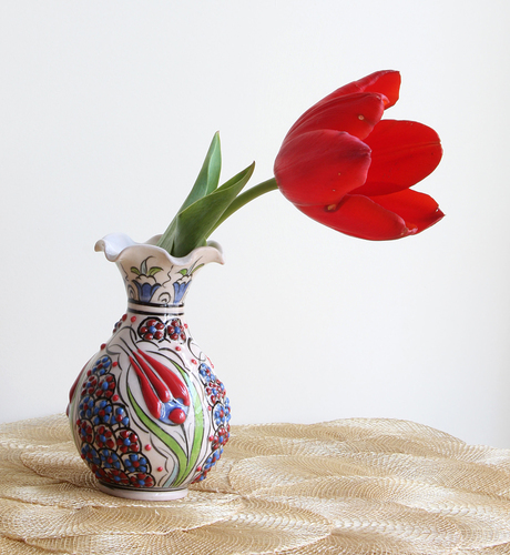 Tulips