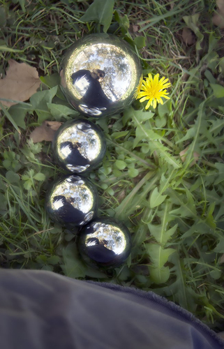 I Asked the Yellow Flower