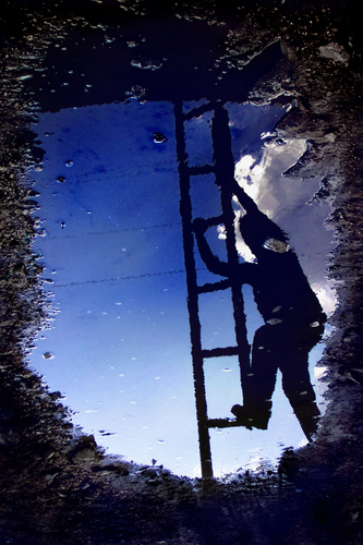 into the unknown