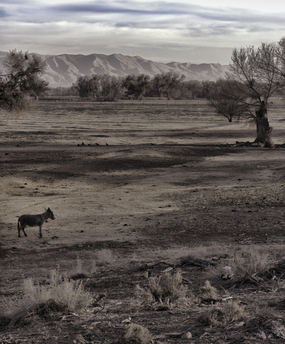 the ranch life