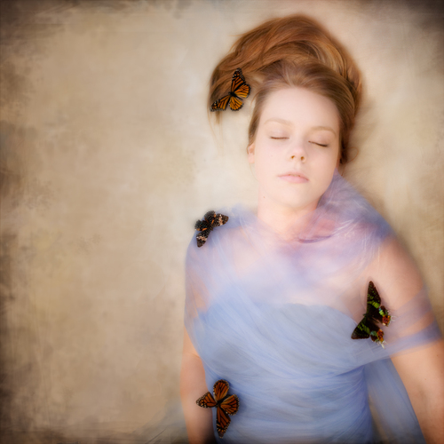 Lepidoptera Blue