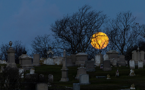 Beaver Moon
