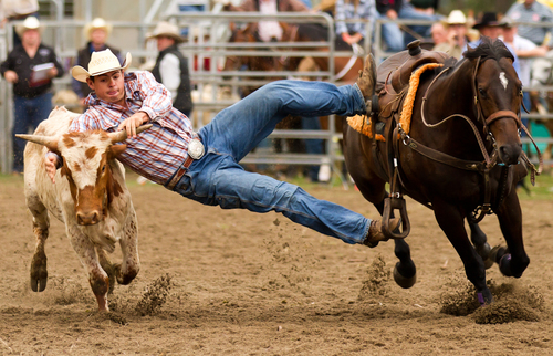 Steer Rider
