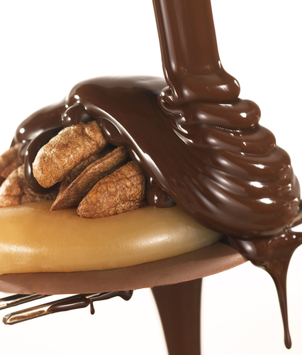 Chocolate Turtle