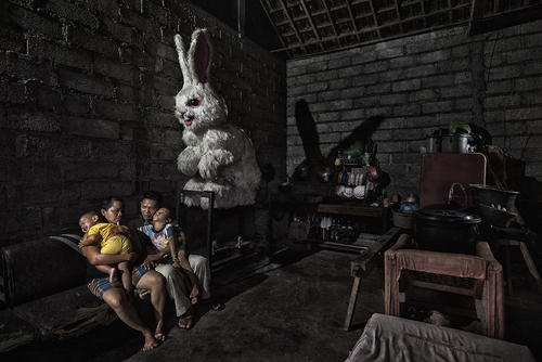 Widi and the rabbit