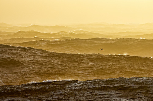 Indian Ocean