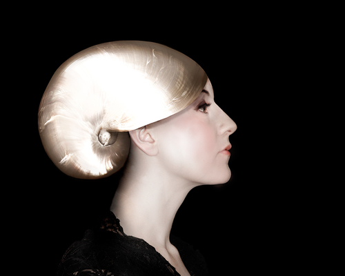 Nautilus
