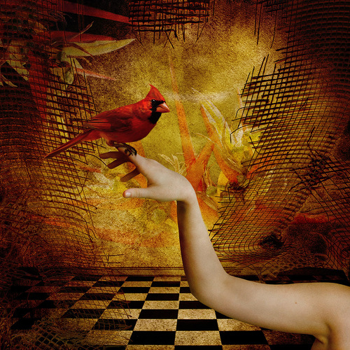 Nude with Cardinal