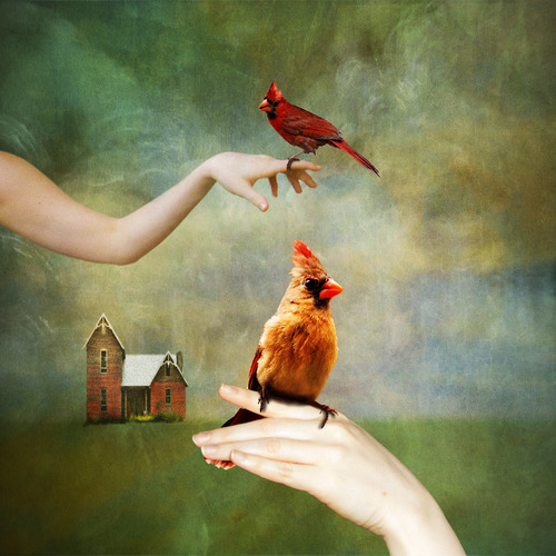 Cardinal Sin