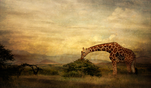 Paradise Lost (2)