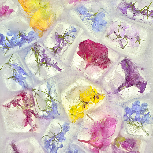 Flowers Cubed