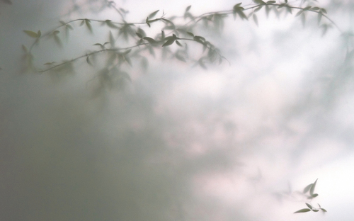 Hues of my Mother's Dementia 1