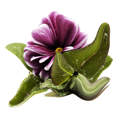 Dynamic Flower
