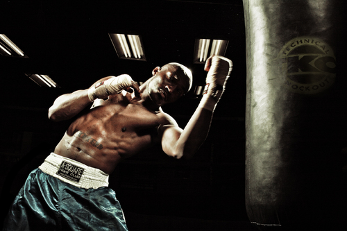 Boxer2