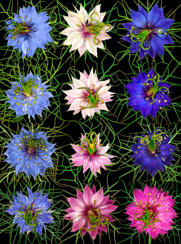Square love 4