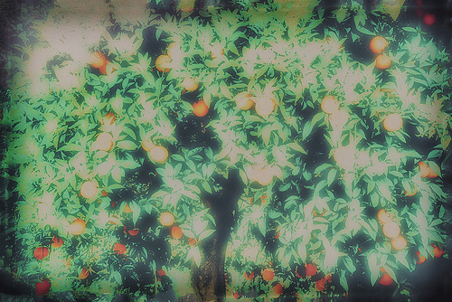 Orange