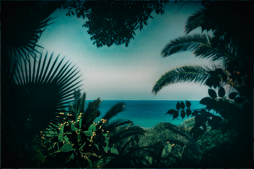 hommage a henri rousseau