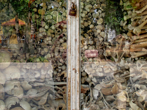 Reflections from the Killing Fields