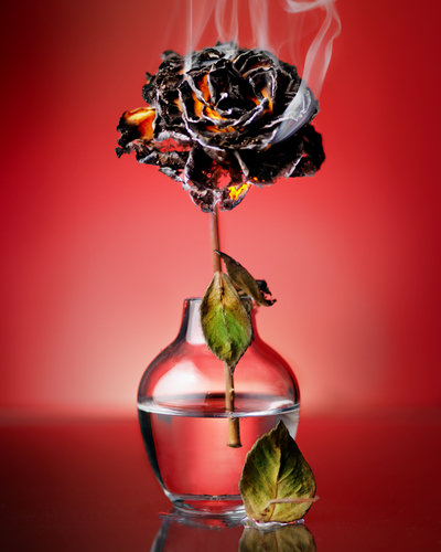 Fire Flower