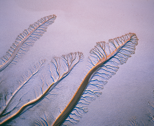Rio Colorado Patterns