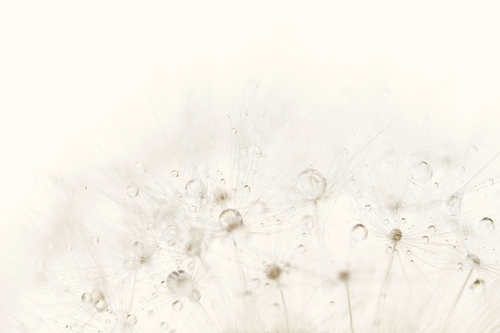 Fragile
