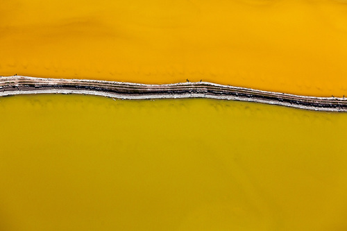Salt Ponds