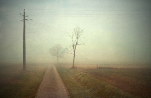 French Road in Fog