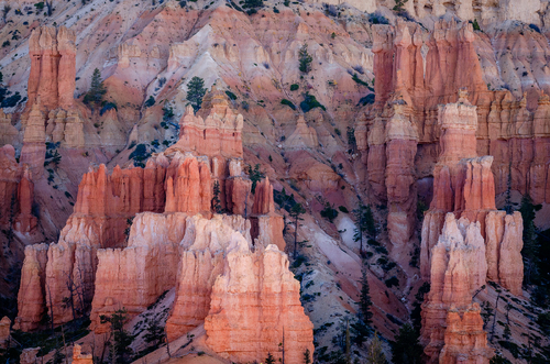Hoodoos, Bryce  Canyon