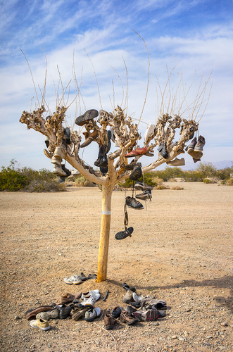 Tree of Soles