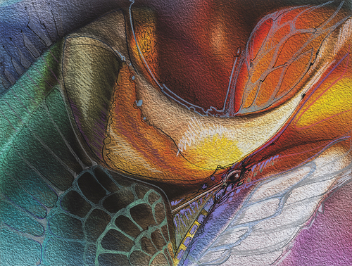 Bird of Paradise