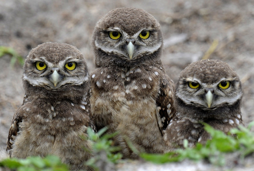 Watching You