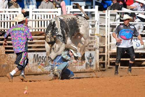 Big Trouble, Arcadia Rodeo