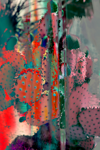 Color Pop Desert-039