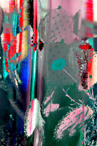 Color Pop Desert-043